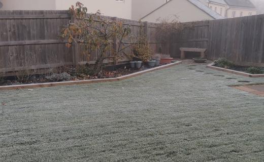 A frost-covered garden on a misty morning. The lawn is coated with a thin layer of white frost, bordered by flower beds and a variety of potted plants. A wooden bench sits at the back near a wooden fence, surrounded by the dormant, leafless branches of plants, hinting at the quiet of winter