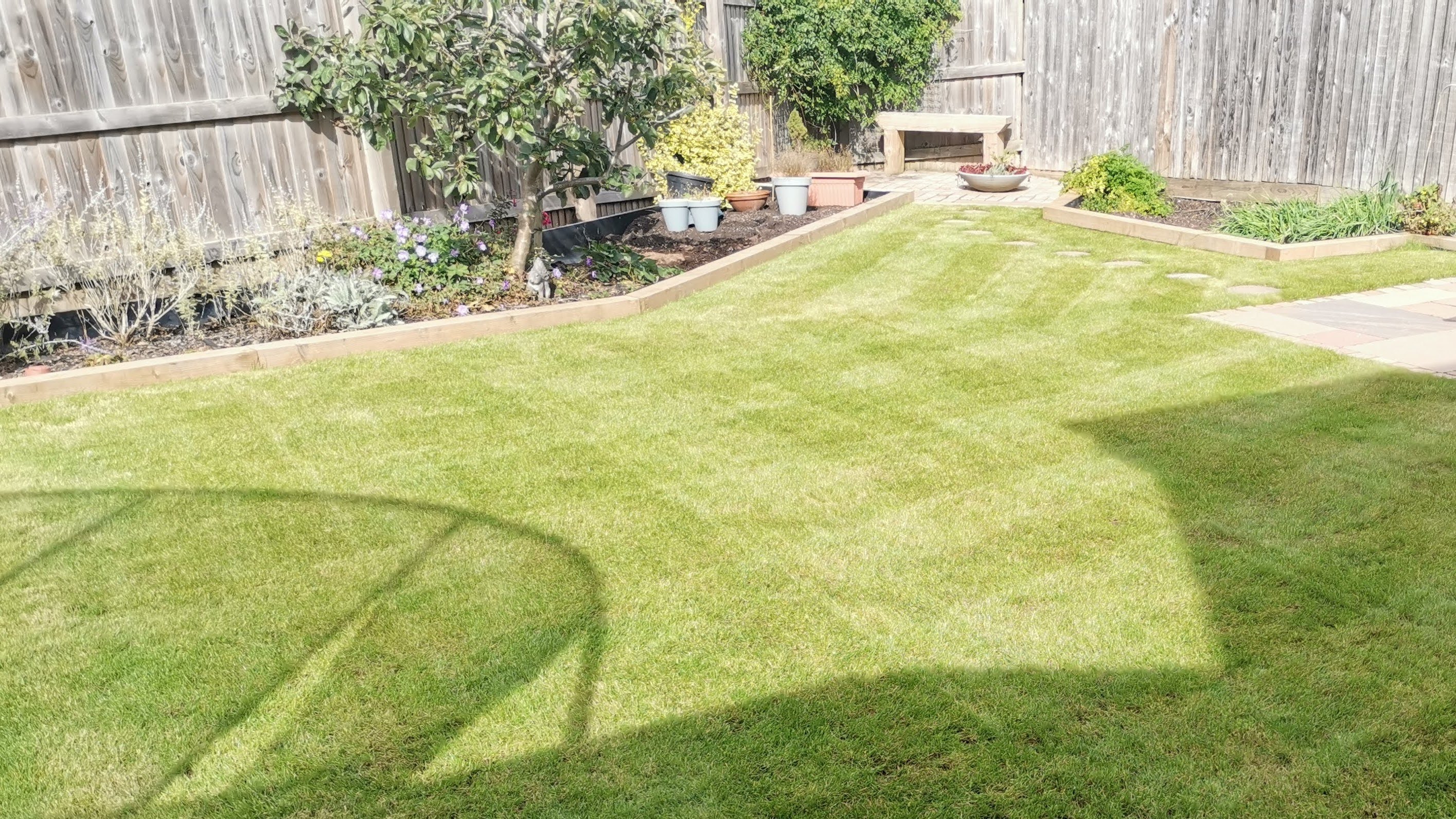 Well-manicured backyard garden with striped lawn patterns, raised flower beds with a variety of plants, and a wooden fence in the background on a sunny day with the shadow of a structure on the grass.