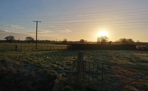 A photo of a beautiful sun rise over the grassy foot path.