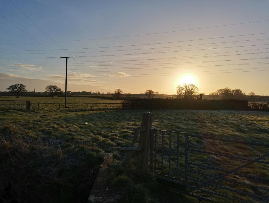 A photo of a beautiful sun rise over the grassy foot path.
